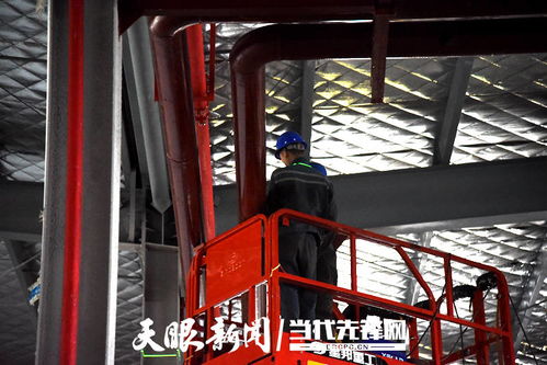 晴隆县腾龙岭 食用菌工厂与农产品冷链物流中心建设正酣，助推兰炭产业协同发展